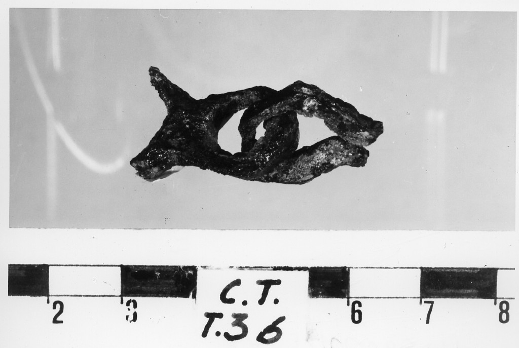 morso equino/ frammento - deposizione longobarda (metà sec. VII d.C)