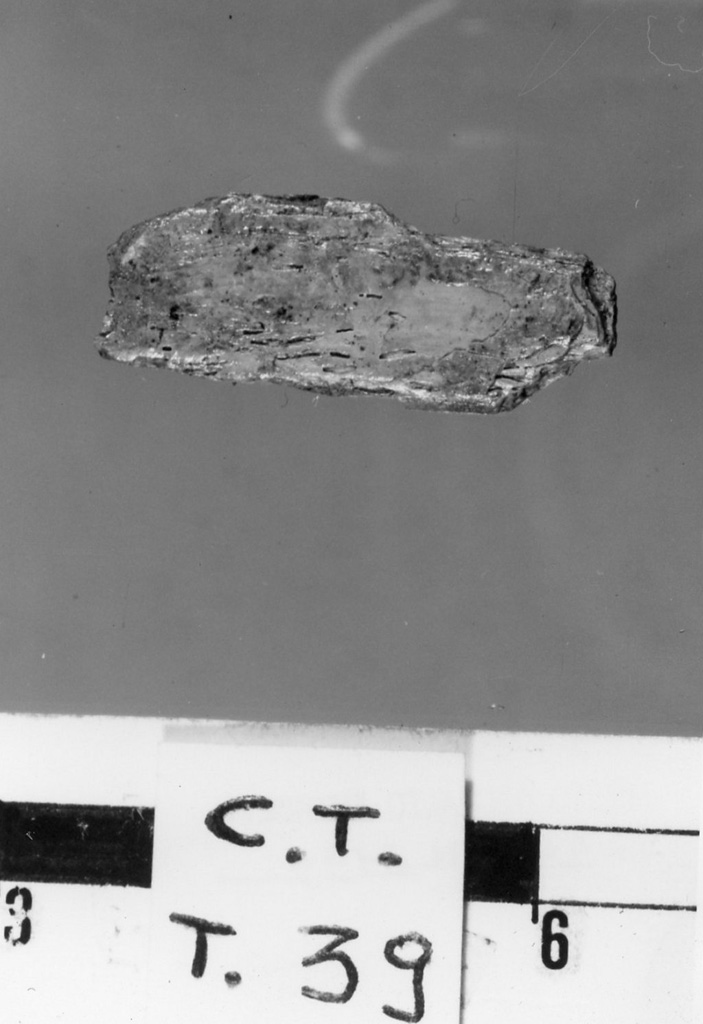pettine/ frammento - deposizione longobarda (secc. VI d.C.-VII d.C)