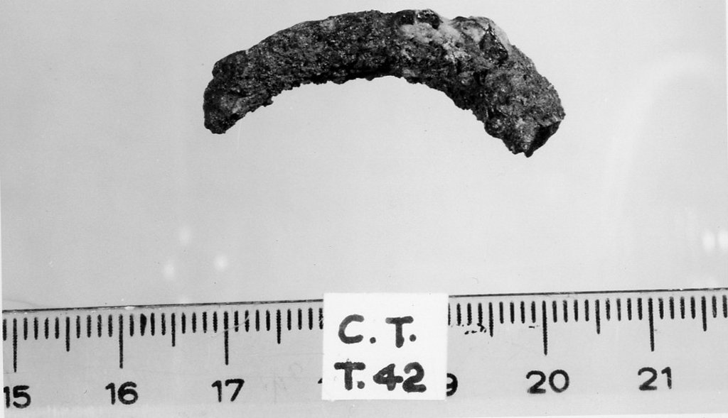 anello - deposizione longobarda (prima metà sec. VII d.C)