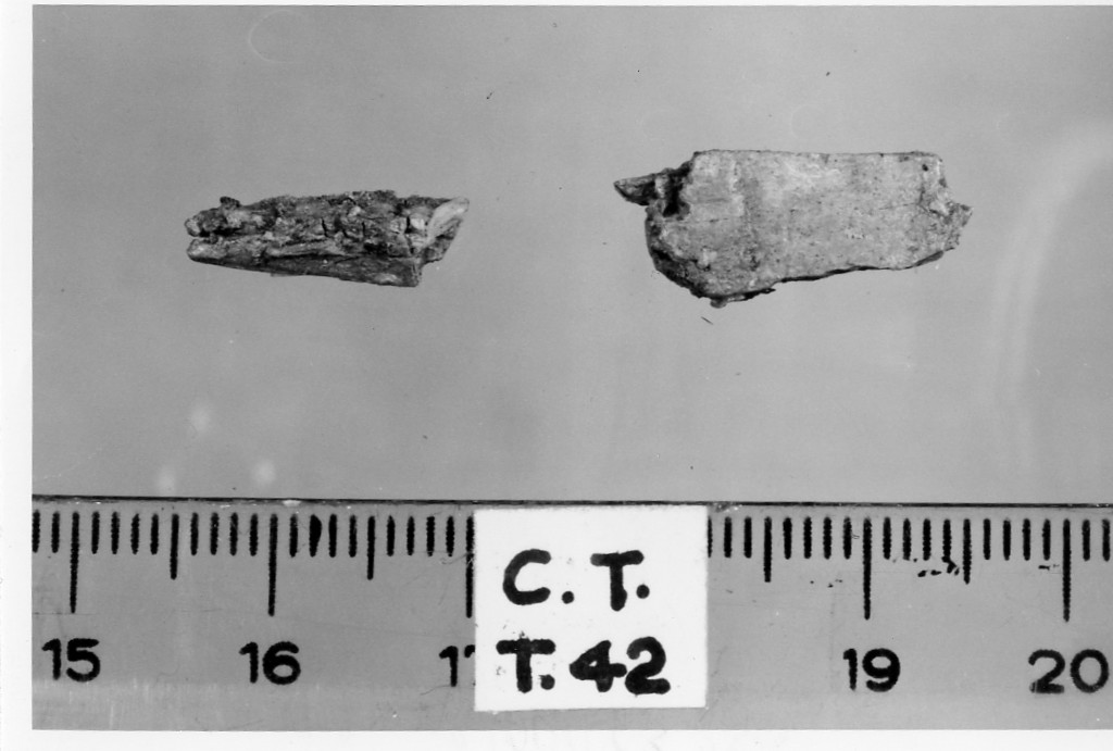 pettine/ frammento - deposizione longobarda (prima metà sec. VII d.C)
