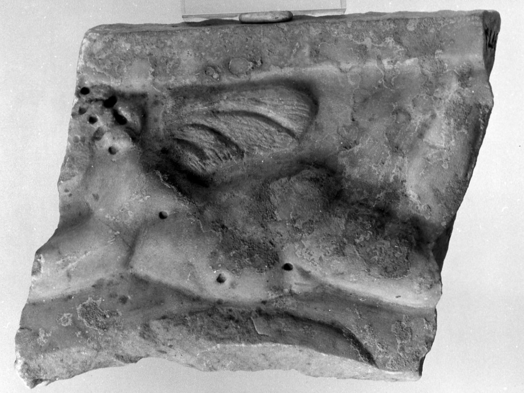coperchio di sarcofago (fine sec. III d.C)