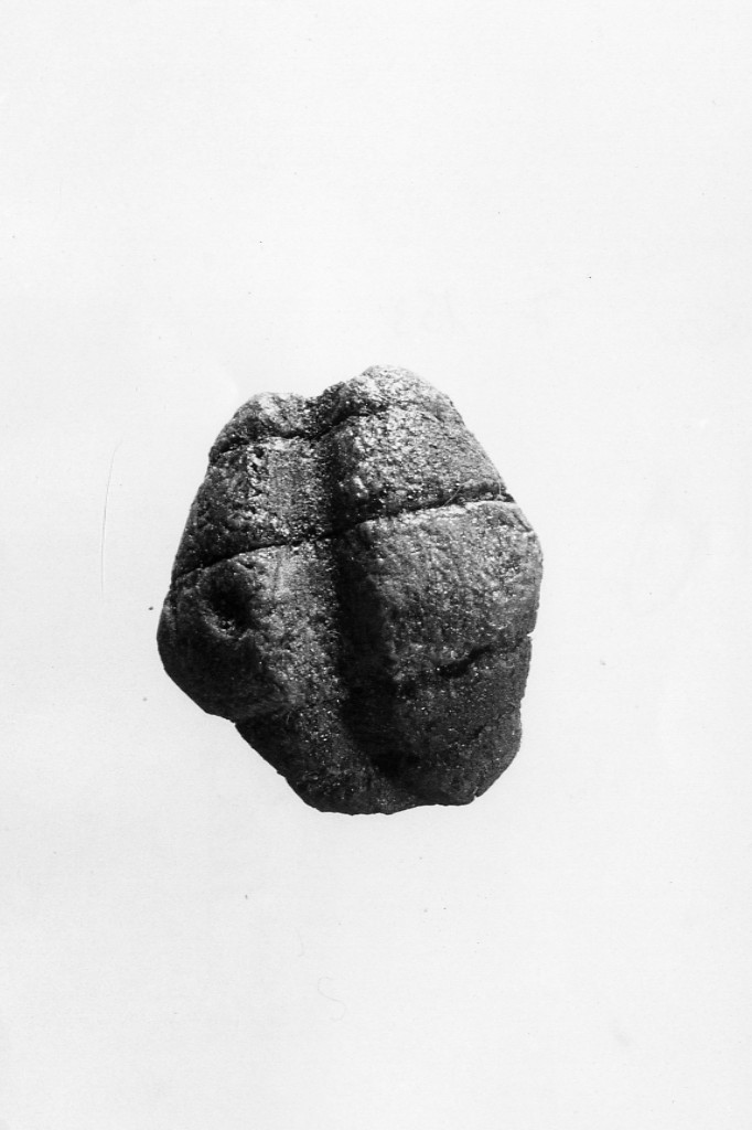 fibula (metà sec. VII a.C)