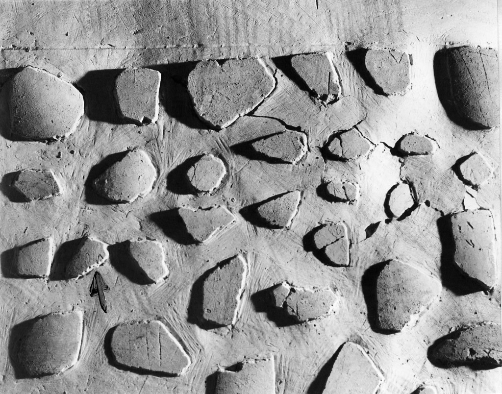 rivestimento parietale con graffito (secc. I d.C.-II d.C)