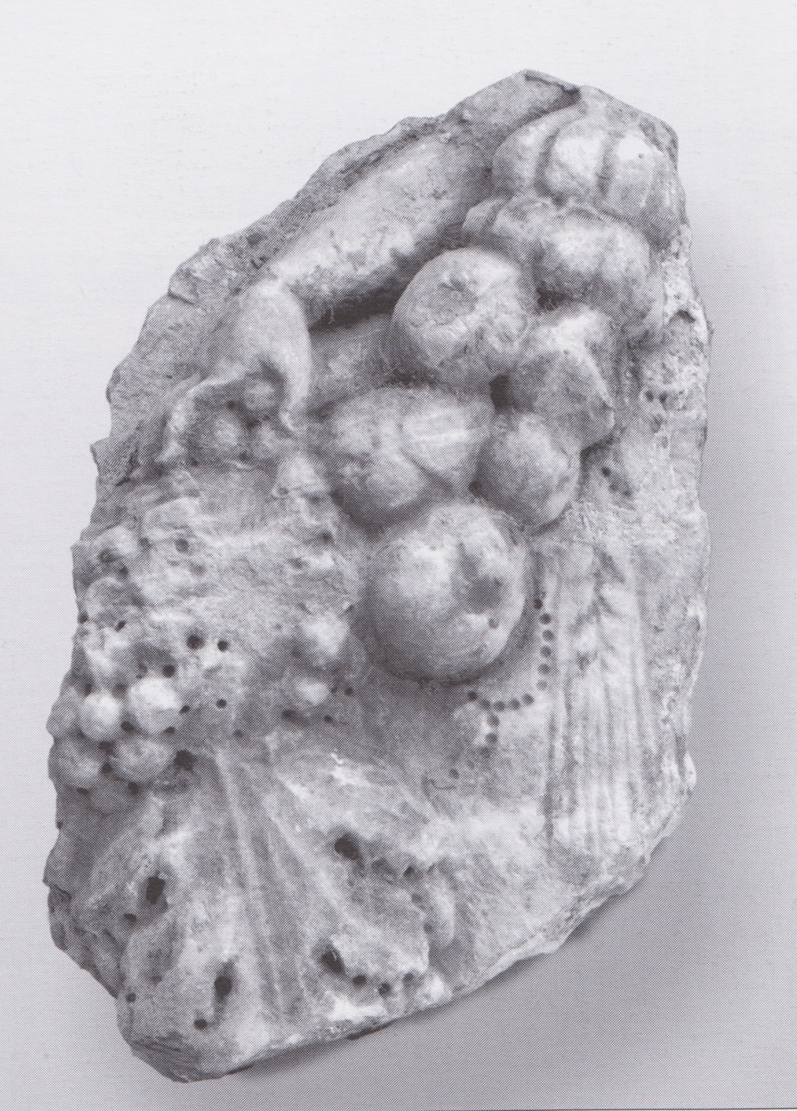 sarcofago/ fianco (metà/ inizio Secc. II/ III d.C)