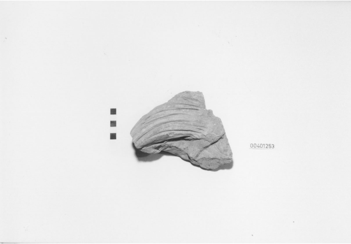 protome leonina (geison) (III-II a.C)