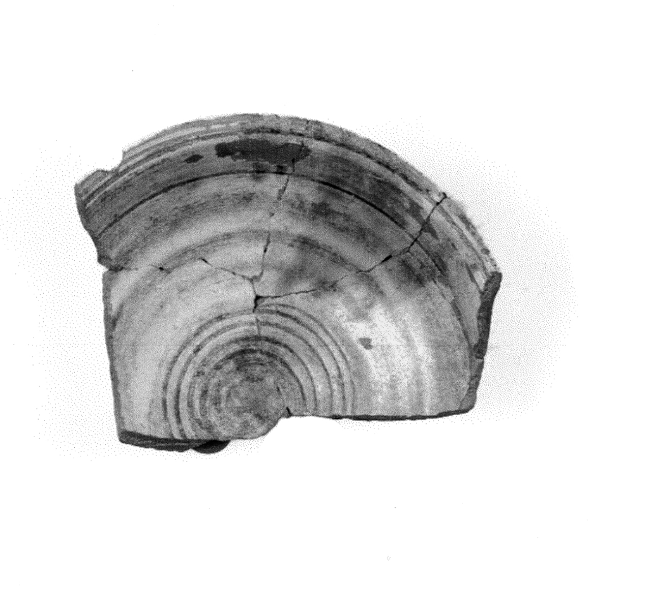 scodella - manifattura veneziana (metà sec. XIII d.C)