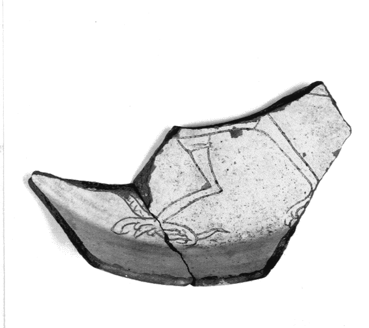 parete di bacino - manifattura veneta (inizio sec. XVI d.C)