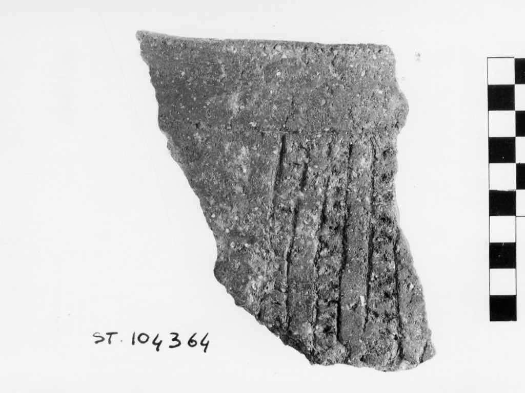 vaso/ frammento - Facies dell'Isolino (Neolitico Inferiore)