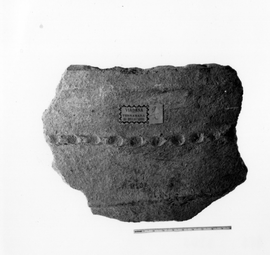vaso/ frammento - produzione terramaricola (età del bronzo medio o recente)