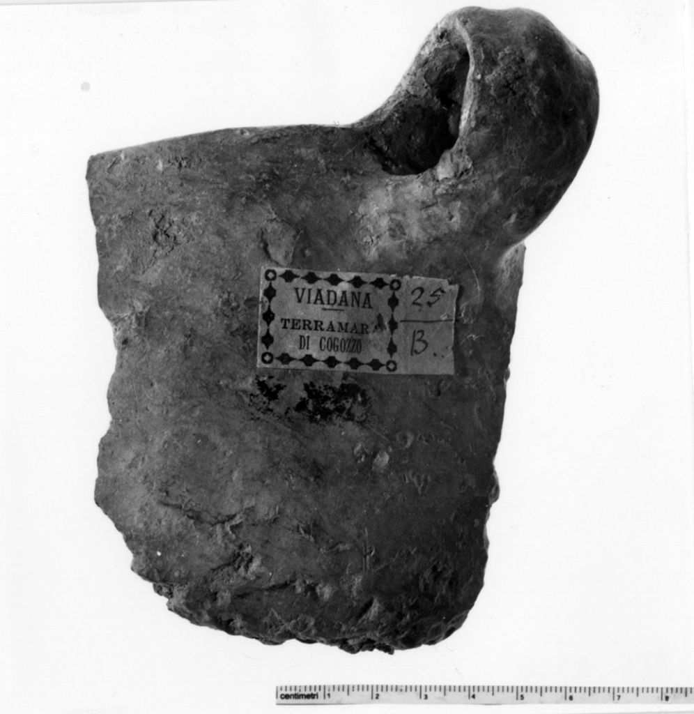 vaso/ frammento - produzione terramaricola (età del bronzo medio-recente)