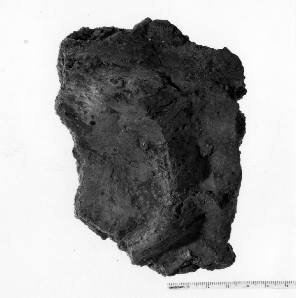 vaso/ frammento - produzione palafitticola (età del bronzo medio di fase iniziale)