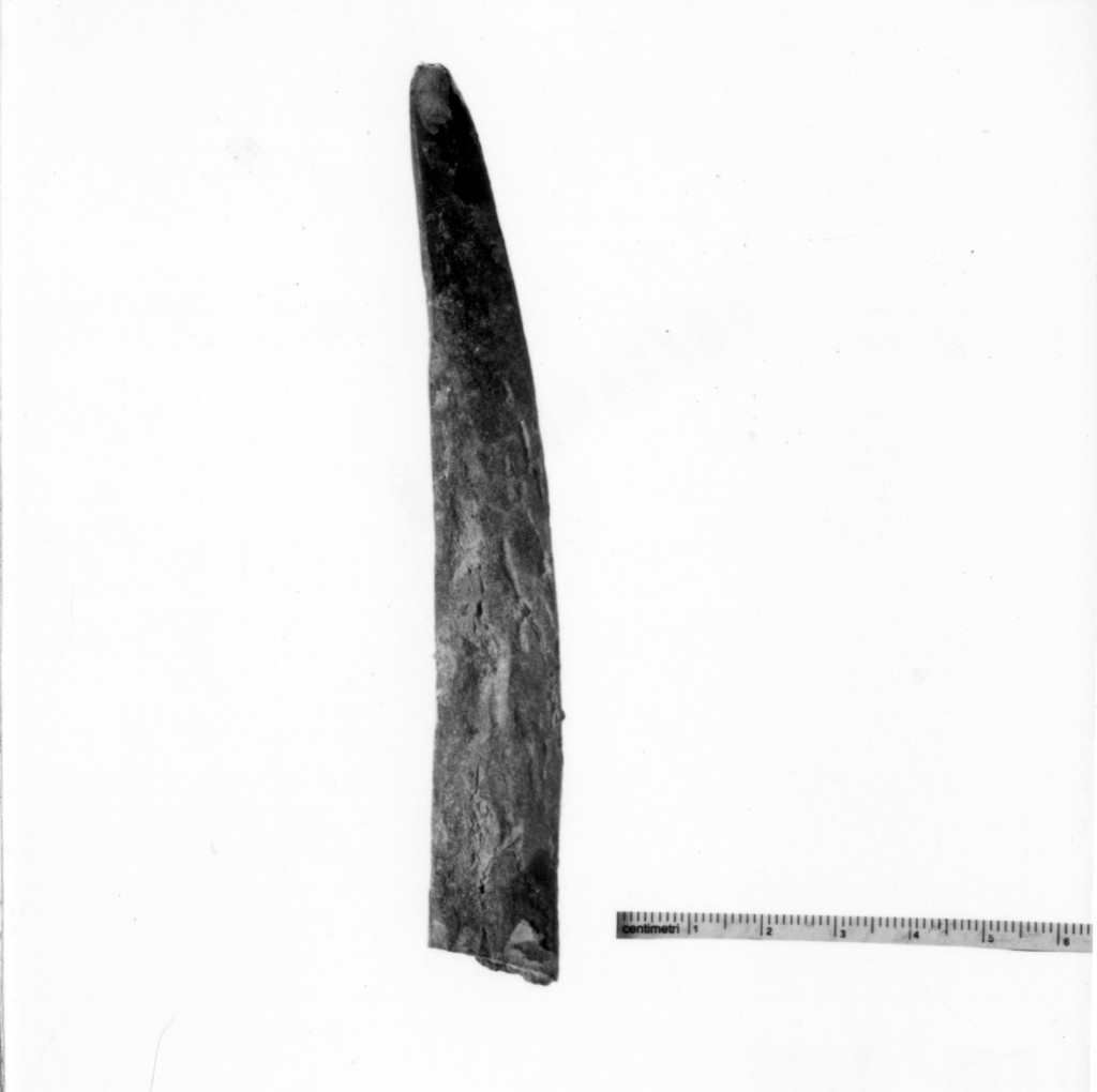 spatola - cultura di facies padana (età del bronzo medio-recente)