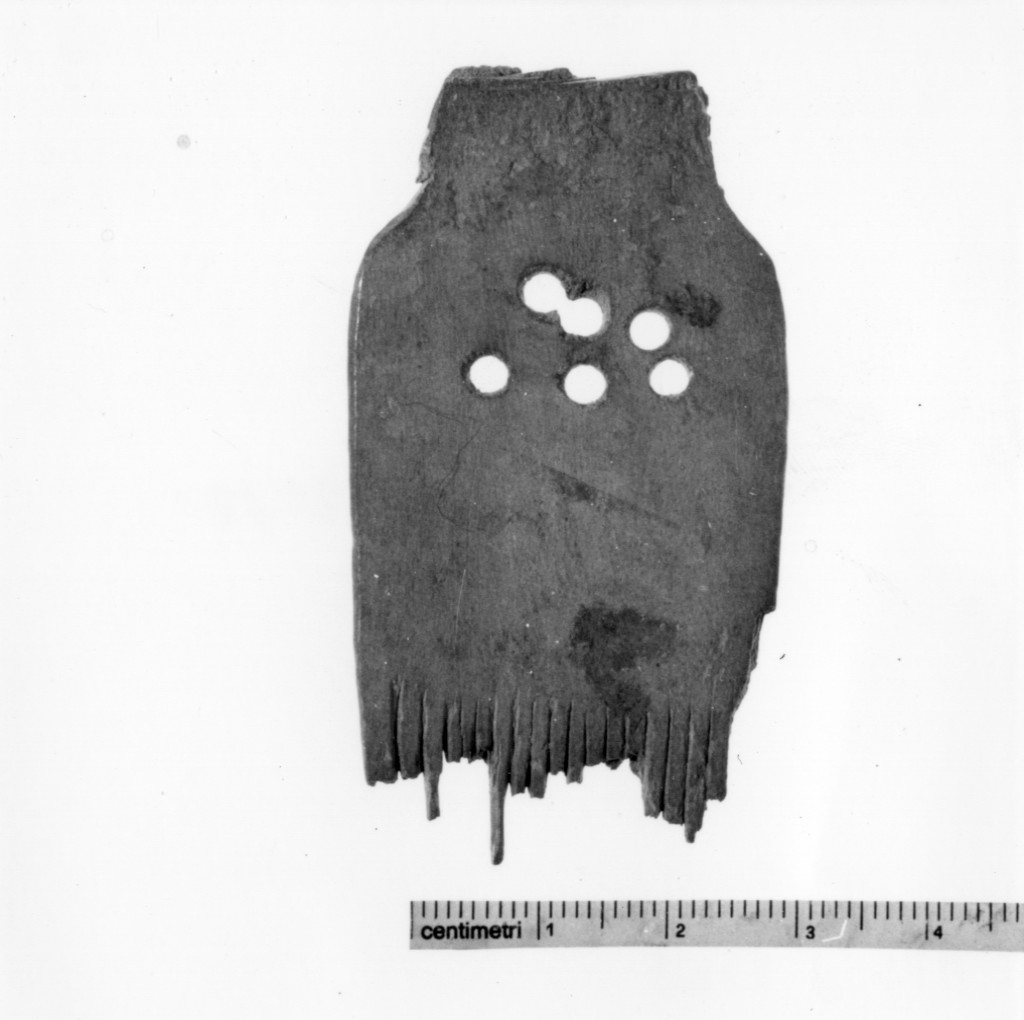 pettine - cultura palafitticola (età del bronzo medio, fase iniziale)