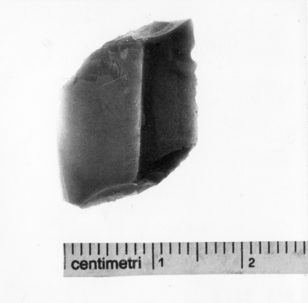 romboide - cultutura tipo Fiorano (neolitico inferiore)