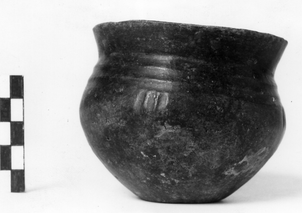 bicchiere - Cultura di Golasecca fase I-A (secc. IX a.C.-VIII a.C)