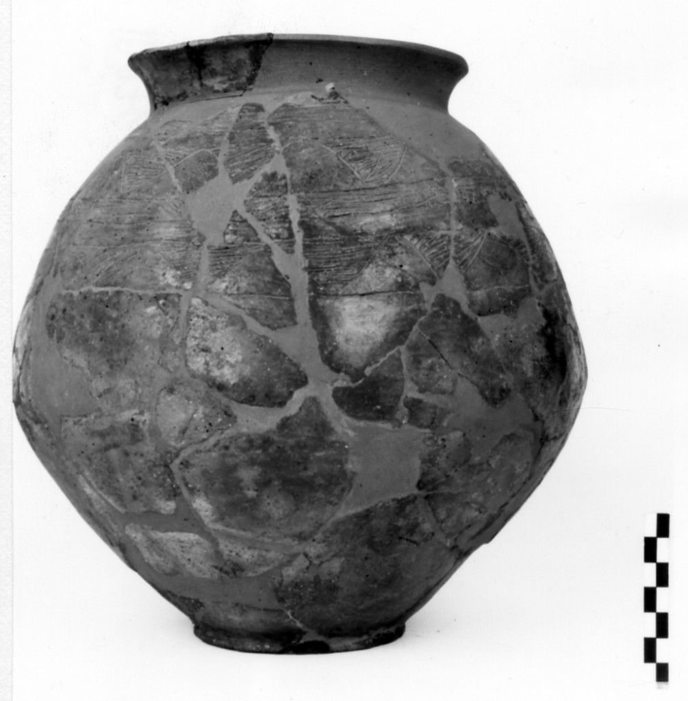 urna biconica - Cultura di Golasecca fase I-C (sec. VII a.C)