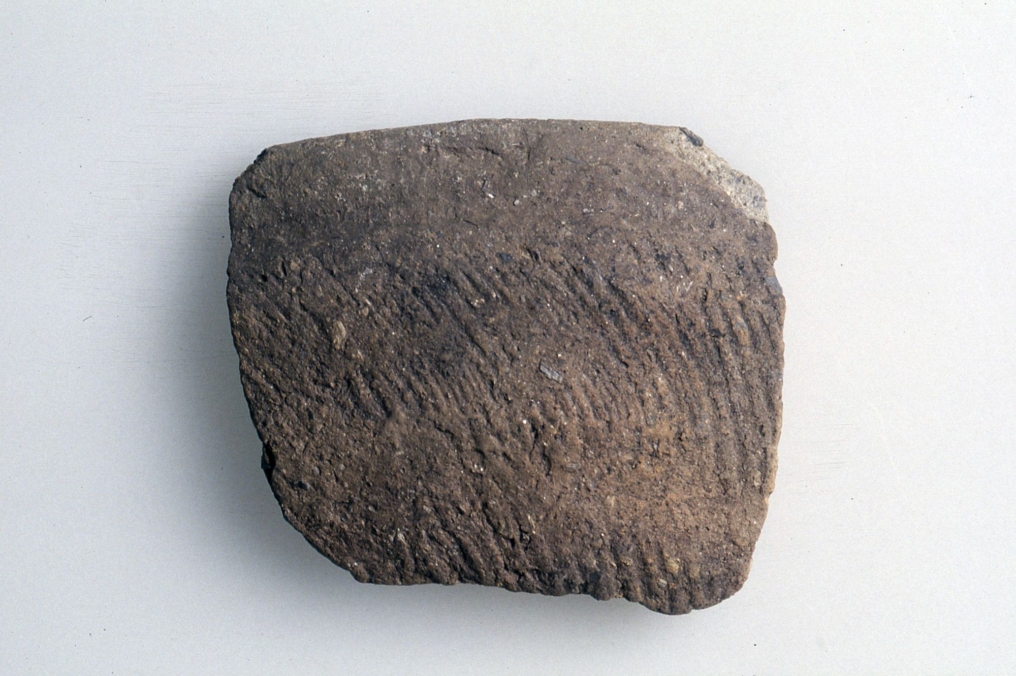 Ciotola-coperchio/frammento, Lecca Bishop, Ragazzi tipo MM3 30 (Prima metà Sec. I d. C)