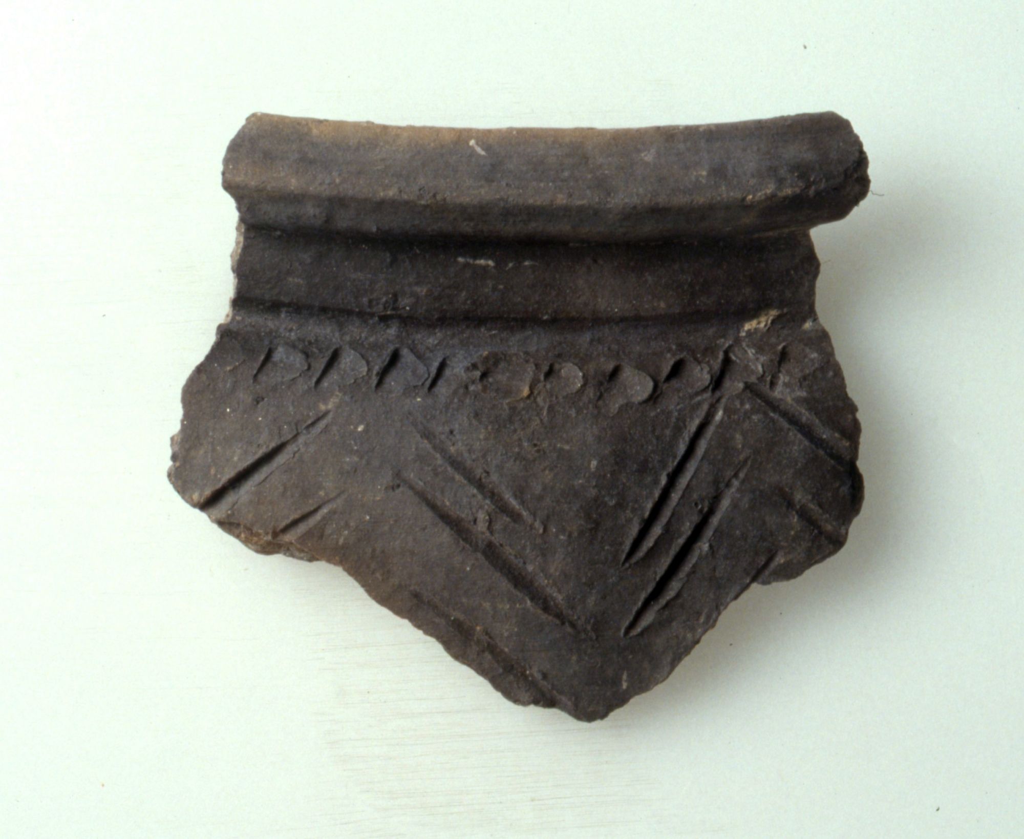 Olla/frammento, Guglielmetti, Lecca Bishop, Ragazzi tipo MM3 81-82 (Inizio Sec. I d. C)
