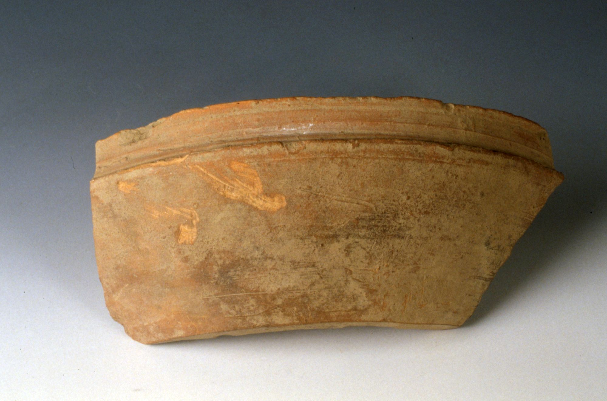 Bacile con listello/frammento, Massari G., Ratti G. tipo Luni 6e (Inizio Sec. III d. C)