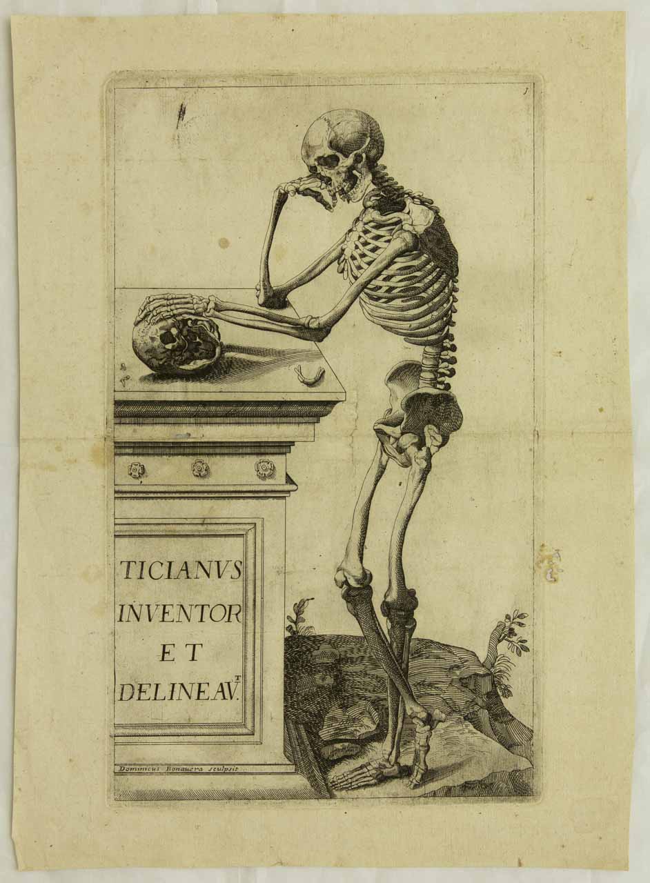 Ticianus inventor et delineav.t, Frontespizio delle Notomie di Titiano (stampa, serie) di Bonavera Domenico Maria - ambito bolognese-emiliano (terzo quarto XVII)