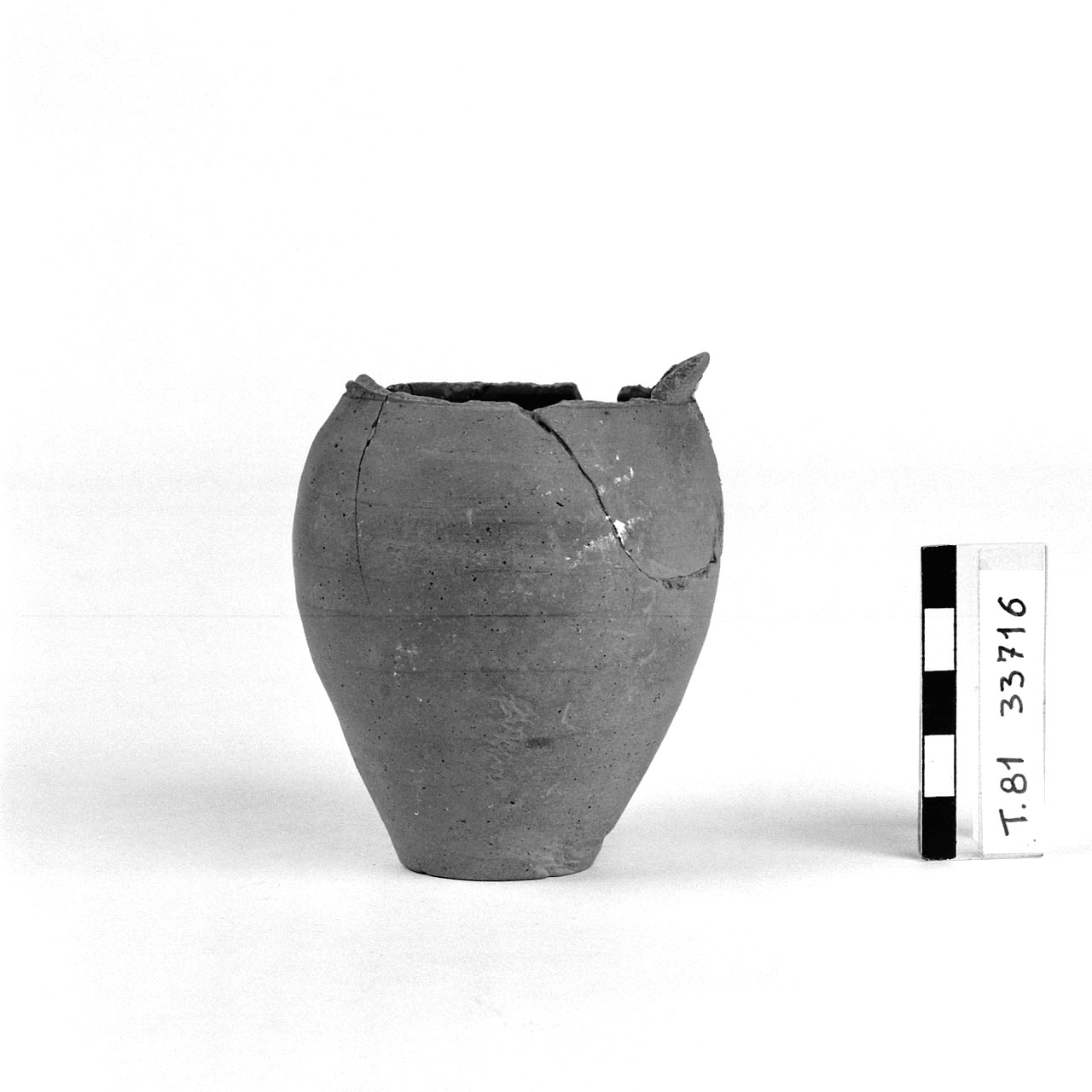 Bicchiere, Marabini III (seconda metà Sec. I a.C)