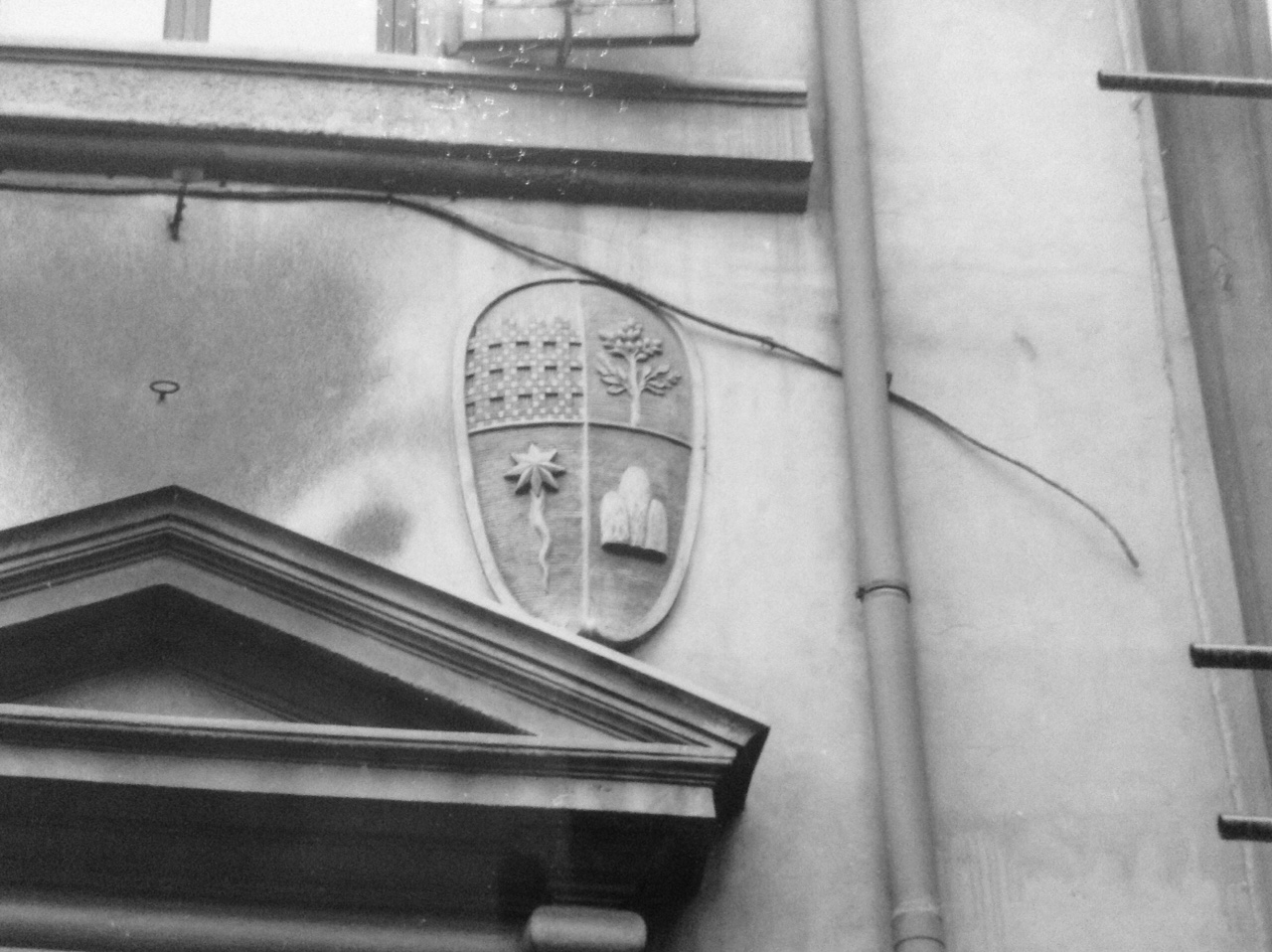 Stemma Tognozzi Morenio (rilievo - stemma, opera isolata) - manifattura toscana (seconda metà XIX)