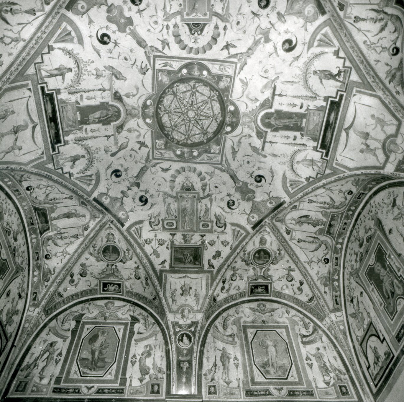 motivi decorativi vegetali con vasi (soffitto dipinto, opera isolata) - ambito fiorentino (n.d)