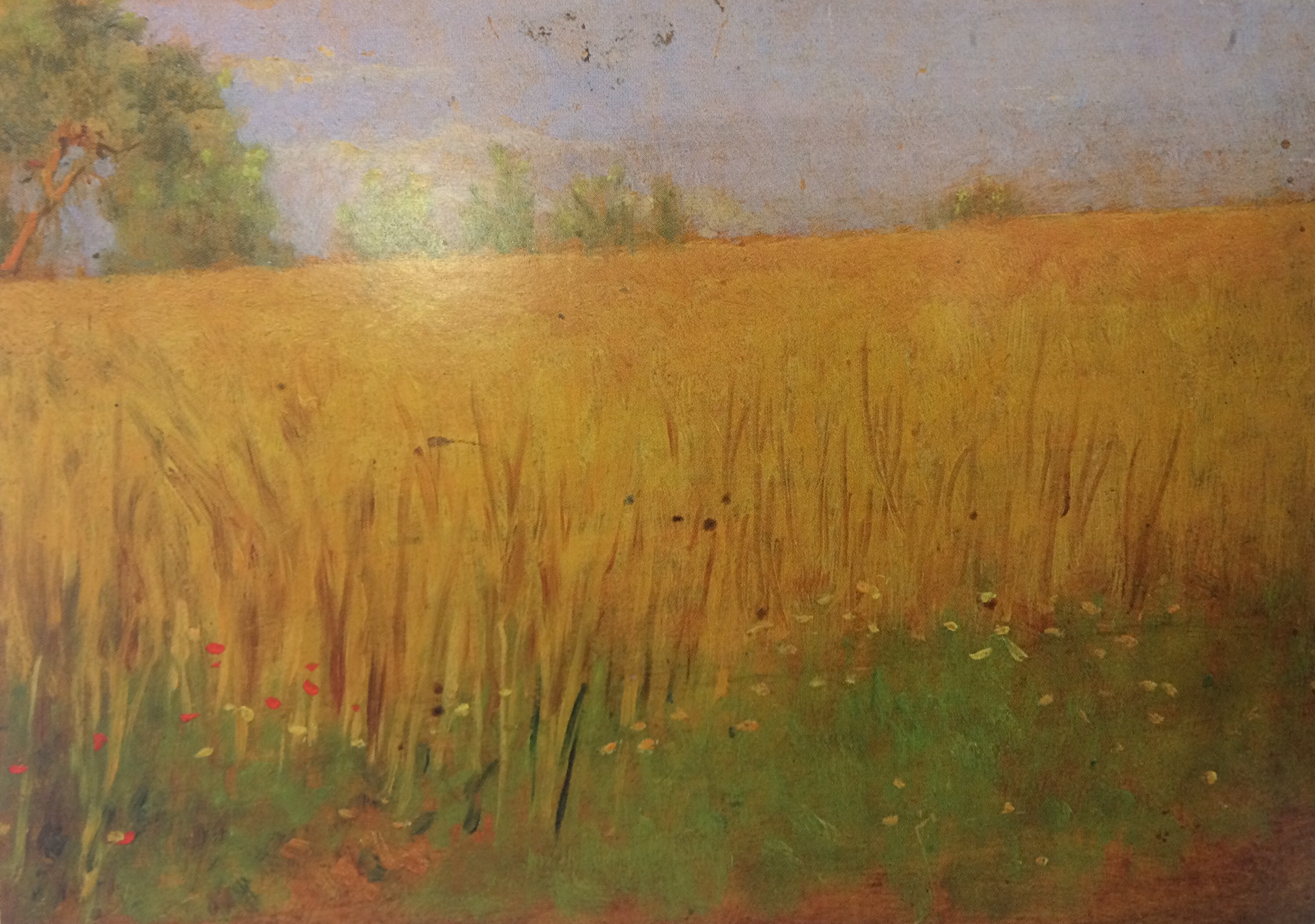 Campo di grano, Paesaggio campestre (dipinto) di Kienerk Giorgio (sec. XX)