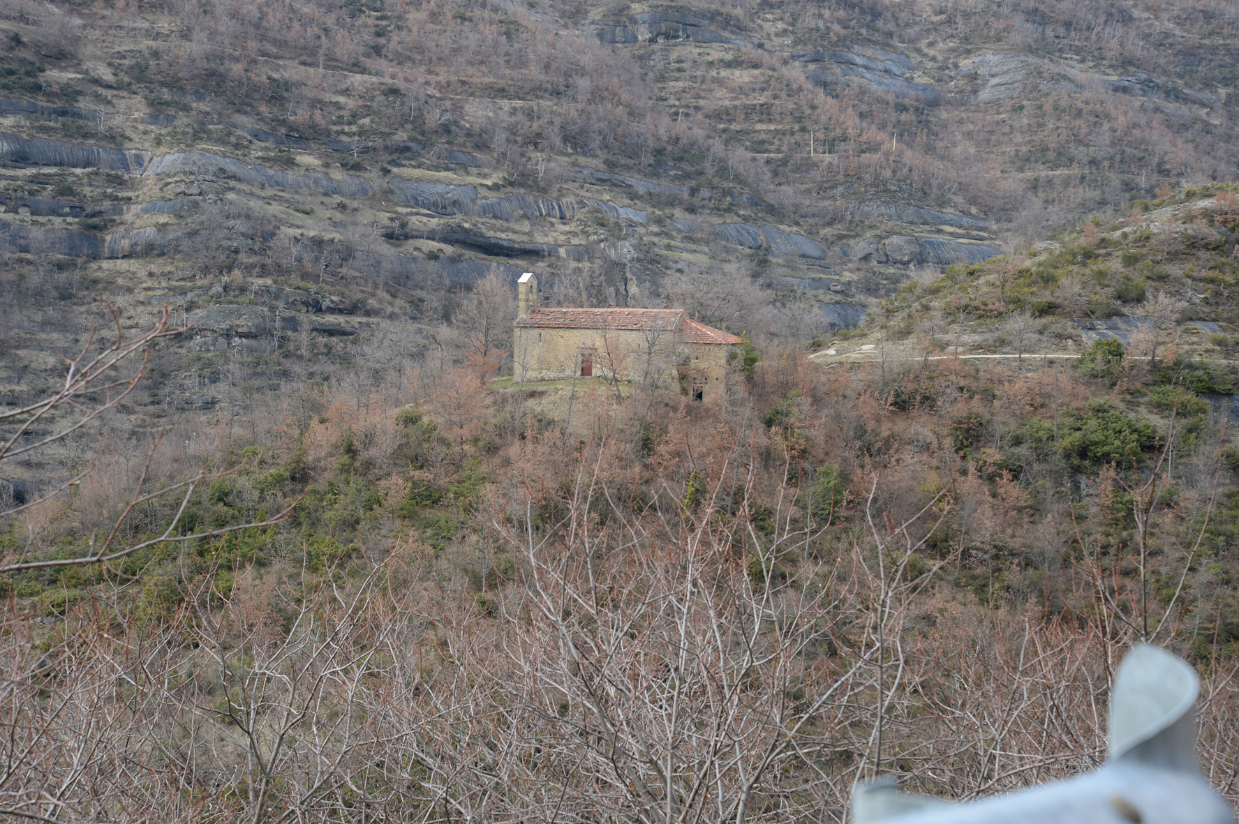 Chiesa di S. Silvestro (chiesa, sussidiaria) - Acquasanta Terme (AP) 