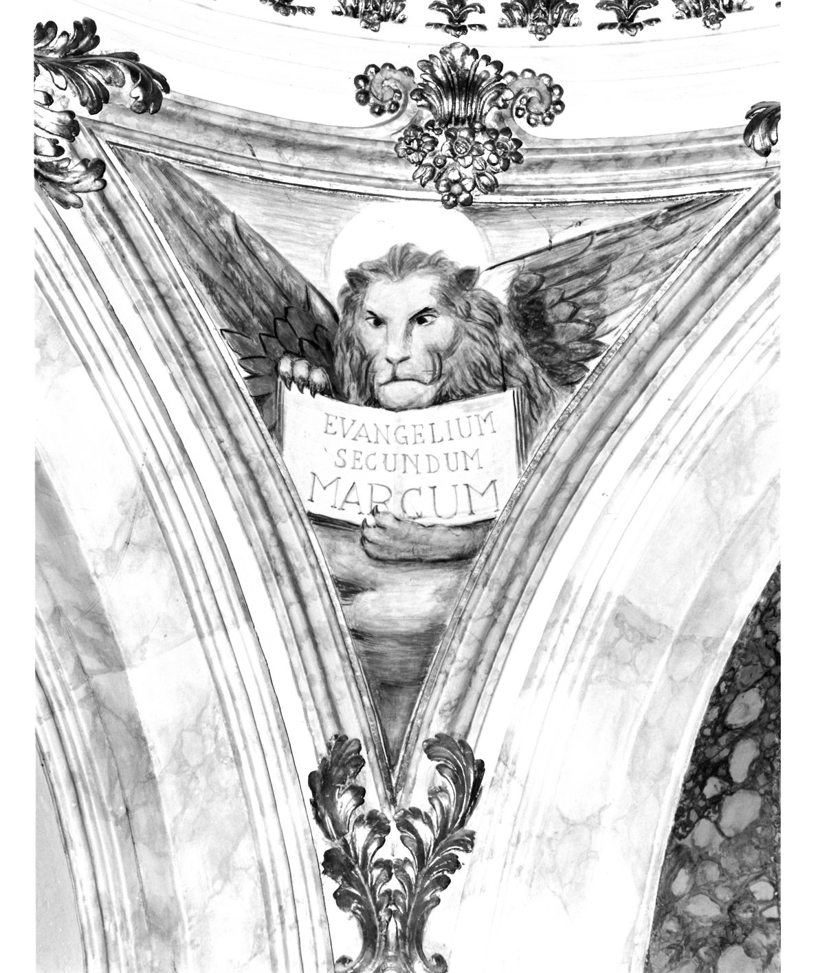 simbolo di San Marco: leone (dipinto, elemento d'insieme) - ambito cortonesco (sec. XVII)