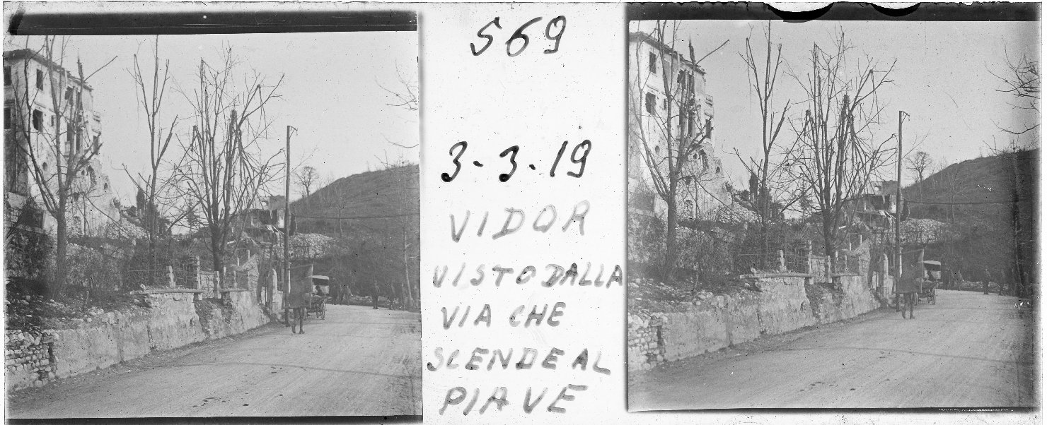 Veduta di strada con alberi ed edifici in rovina (positivo stereoscopico) di Anonimo (XX)