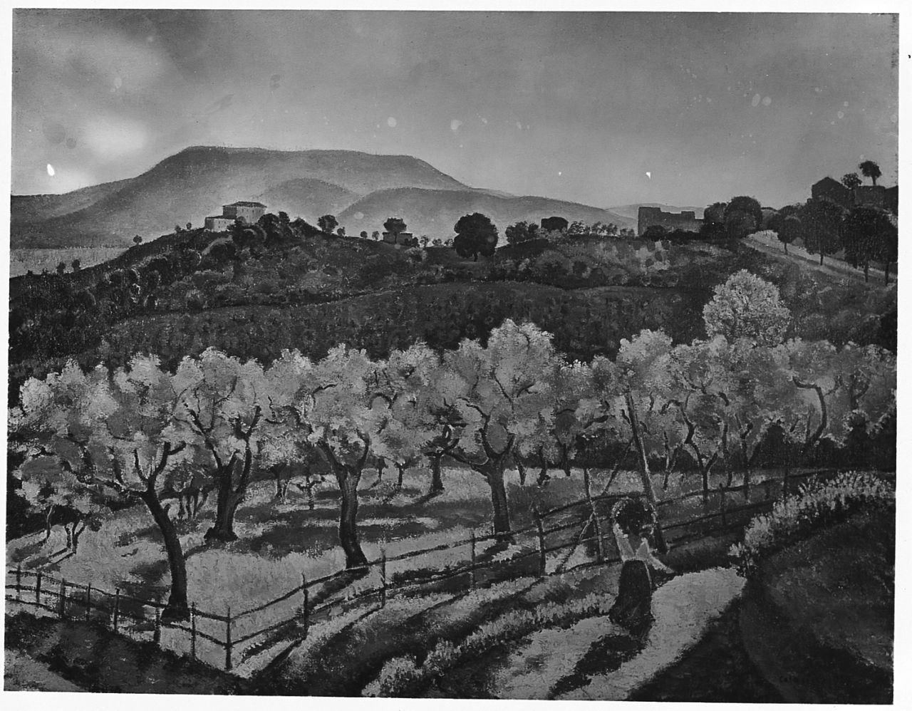 Uliveto sotto le mura di Anagni, paesaggio rurale nei pressi di Anagni (dipinto) di Colacicchi Giovanni (sec. XX)