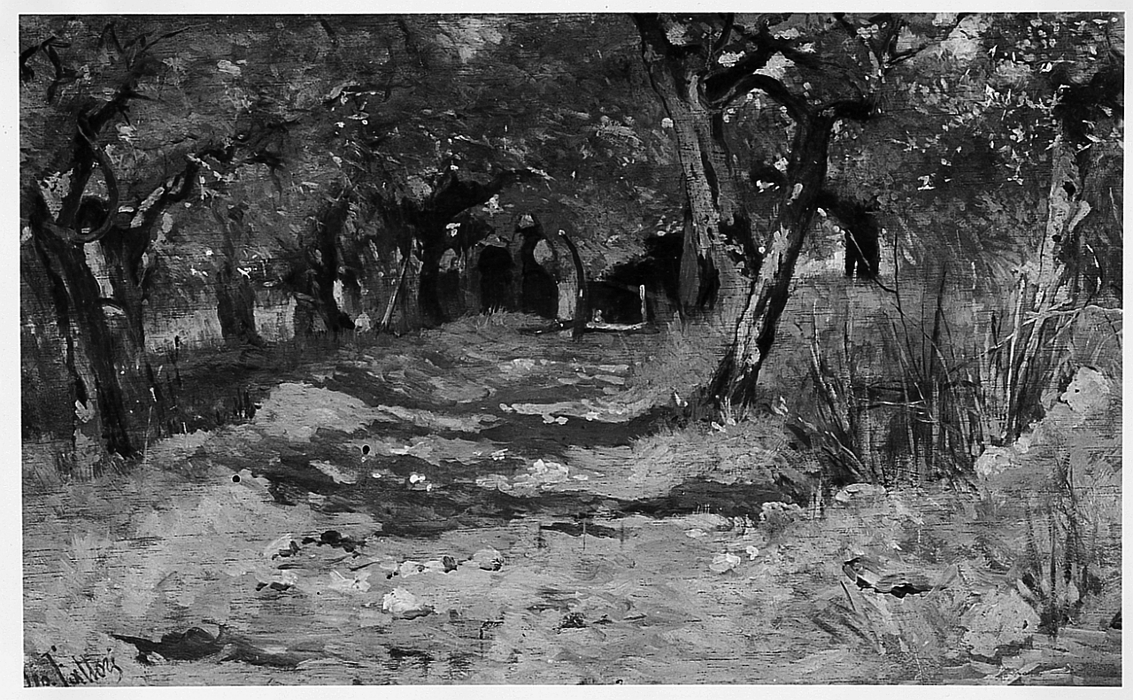 Ulivi, strada di campagna con ulivi (dipinto) di Bortone Antonio (sec. XIX)
