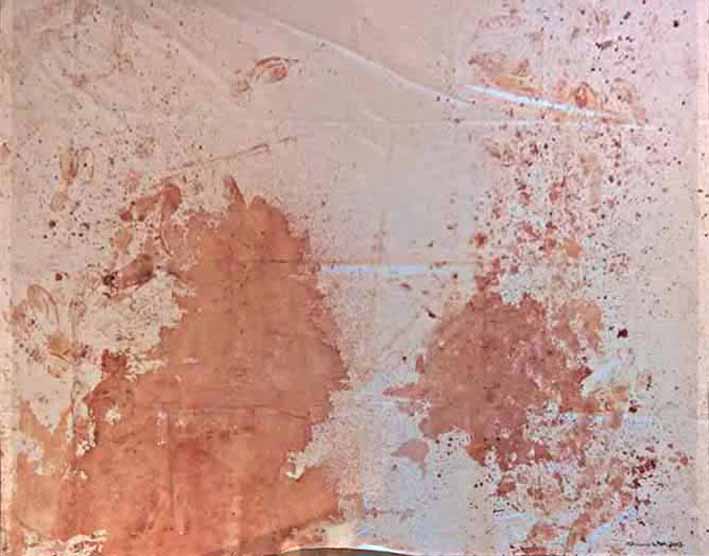 152 Azione teorica Napoli 2017 (installazione) di Hermann Nitsch (sec. XXI)