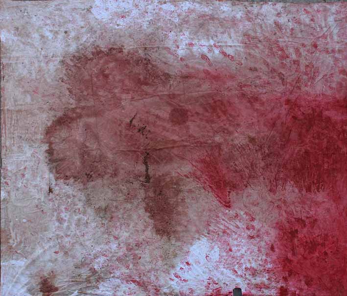 152 Azione teorica Napoli 2017 (installazione) di Hermann Nitsch (sec. XXI)