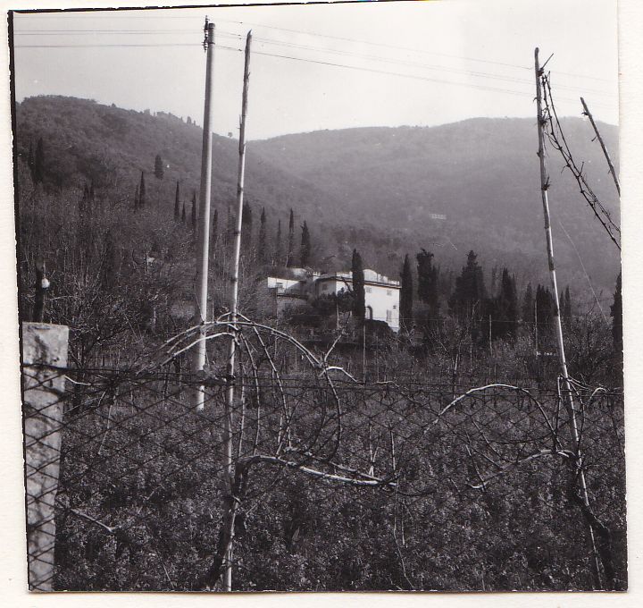 il castelletto (villa, residenziale) - San Giuliano Terme (PI) 