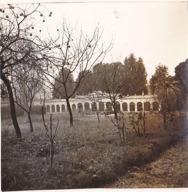 limonaia della villa Dal Borgo (limonaia) - San Giuliano Terme (PI) 