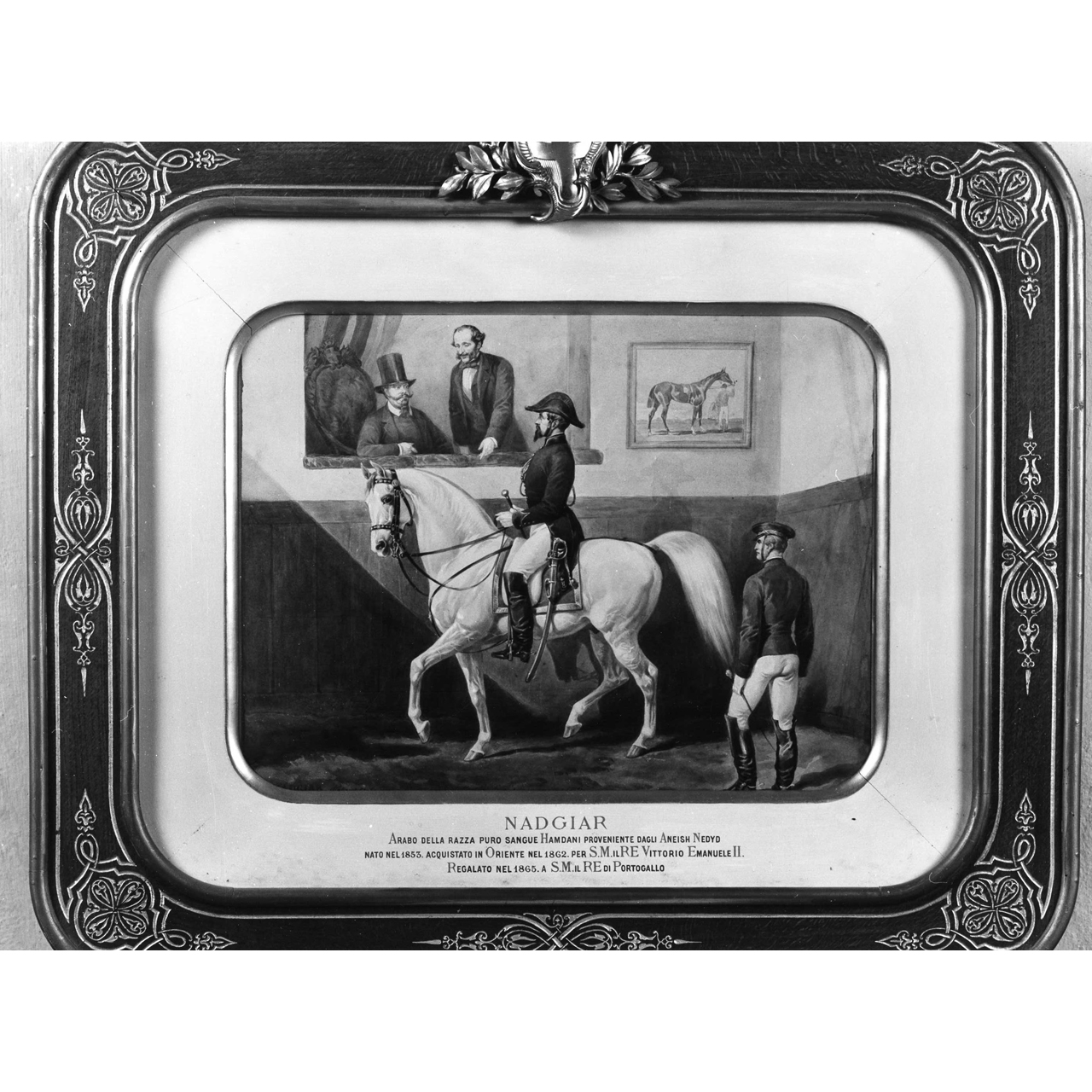ritratto del cavallo Nadgiar (dipinto) di Grimaldi Stanislao (terzo quarto sec. XIX)