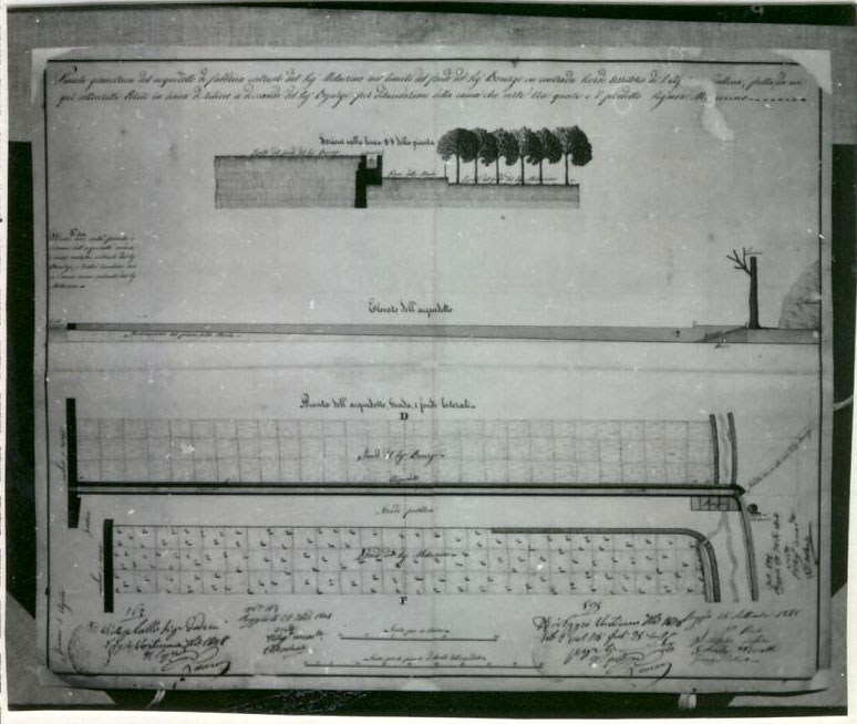 planimetria, sezione (disegno tecnico) di Lofaro Filippo, Morelli Giovanni, Costantino Giuseppe (XIX)