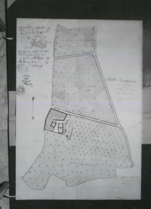 planimetria (disegno tecnico) di Calabrò Raffaele (XIX)