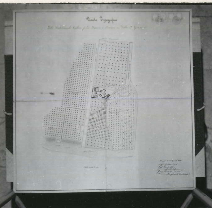 planimetria (disegno tecnico) di Aricò Giovanni, Lofaro Basilio, Gentile Giovanni, Costantino Giuseppe, Paviglianiti F (XIX)