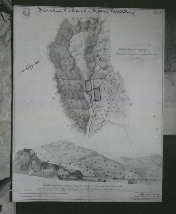 disegno tecnico di Morisani Rodolfo, Lucisano Antonio, Scopelliti Giovanni (XIX)