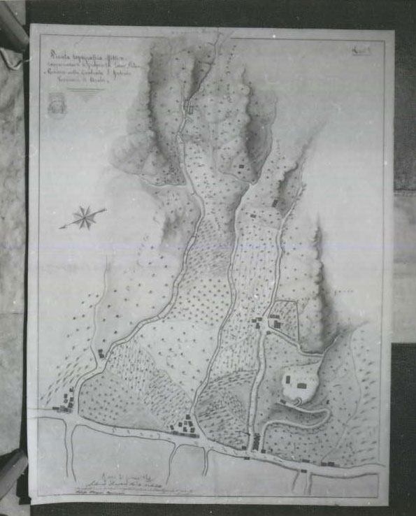 planimetria (disegno tecnico) di Lucisano Antonio, Scopelliti Giovanni, Morisani Rodolfo (XIX)