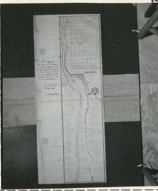 planimetria (disegno tecnico) di Calabrò Stefano, Porco Giuseppe, Santoro Giuseppe (XIX)