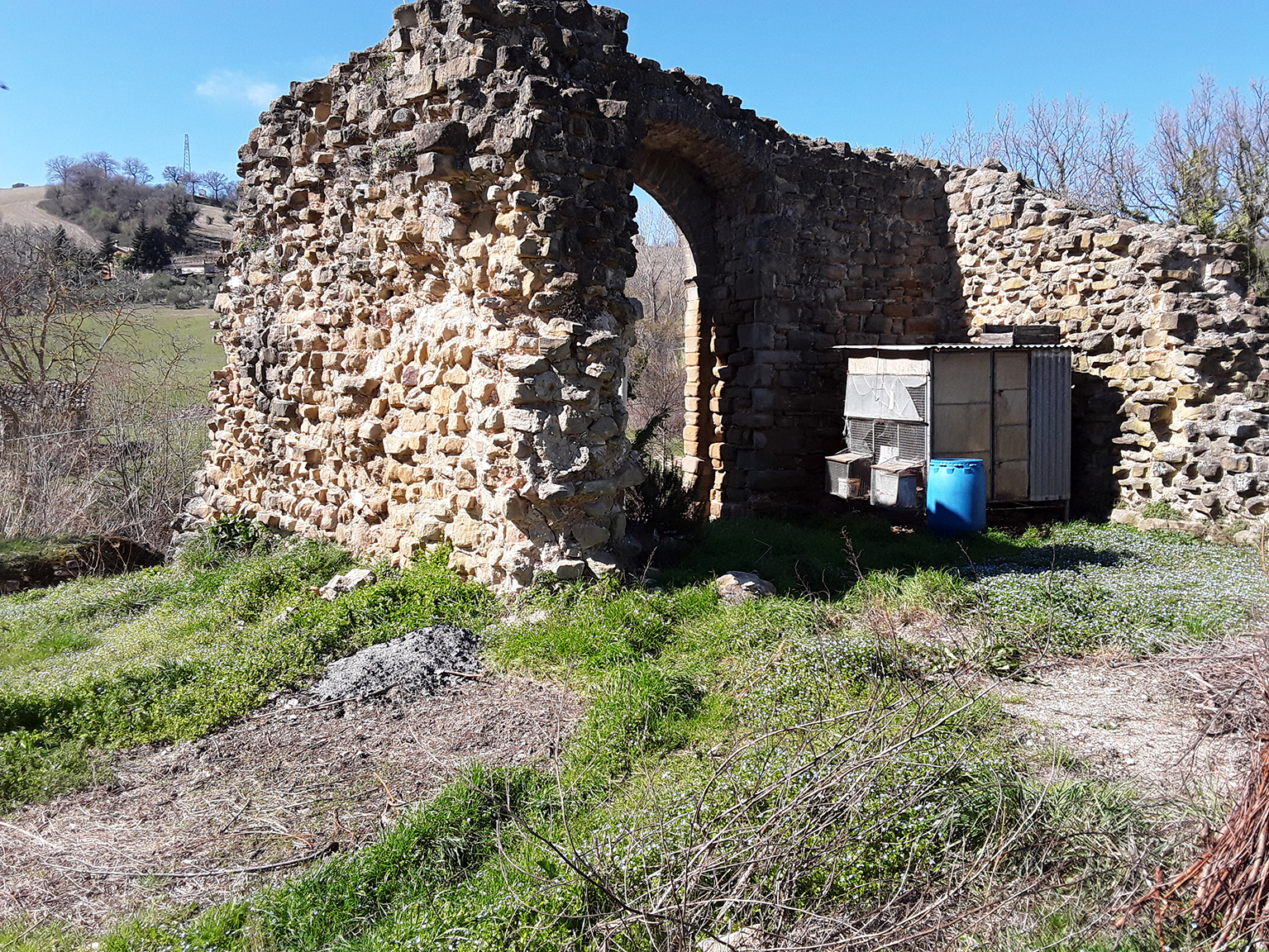 Mura di cinta e Torre del Castello di Carpignano (mura, difensive) - San Severino Marche (MC) 