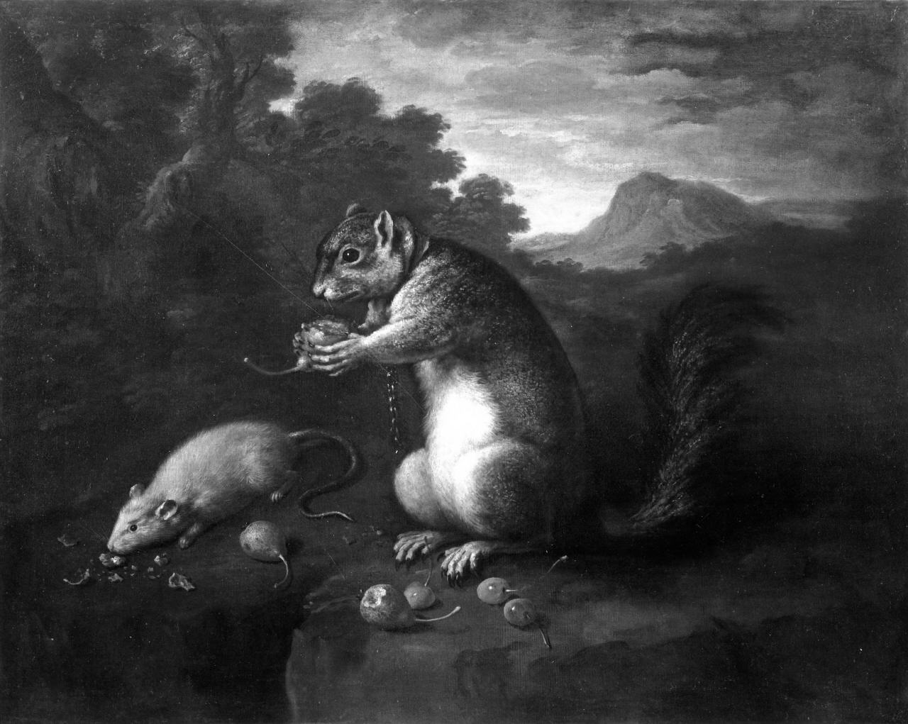 animali (dipinto) di Bimbi Bartolomeo (attribuito) (primo quarto sec. XVIII)