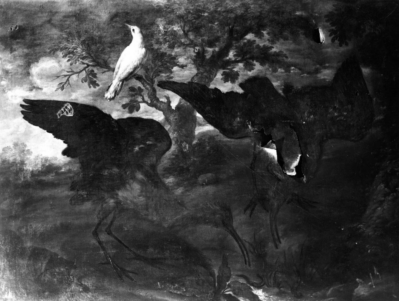animali e uccelli (dipinto) - ambito fiorentino (primo quarto sec. XVIII)