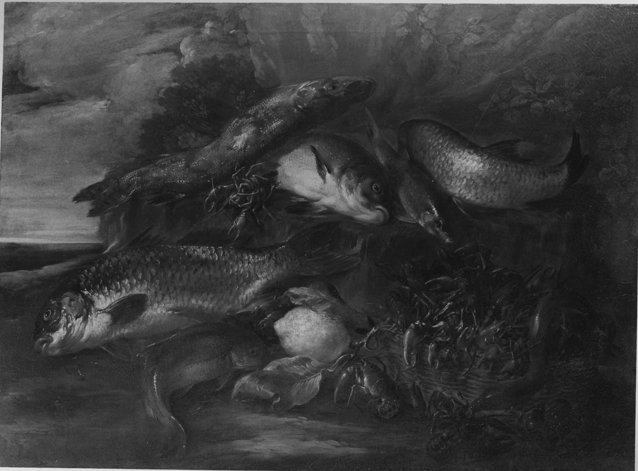 pesci (dipinto) di Boselli Felice (sec. XVIII)