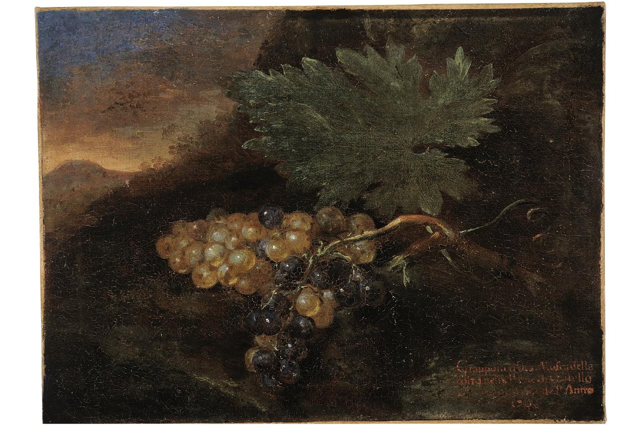 natura morta com uva (dipinto) di Bimbi Bartolomeo (sec. XVIII)