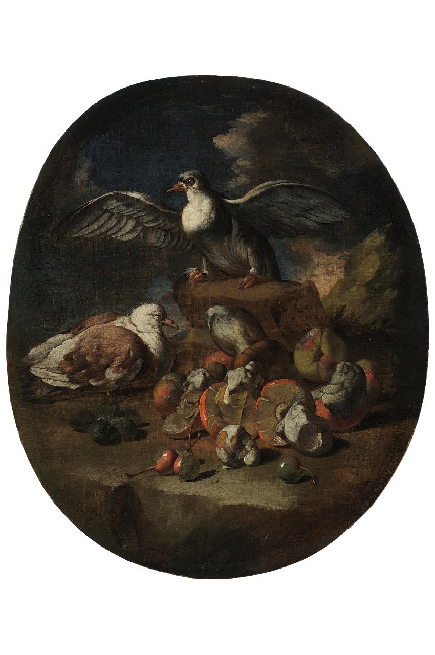 uccelli e funghi (dipinto) di Pseudo Fardella (seconda metà sec. XVII)